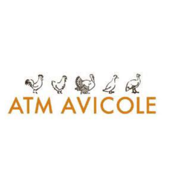 ATM AVICOLE