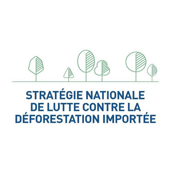 COMITE DE SUIVI DE LA STRATEGIE NATIONALE DE LUTTE CONTRE LA DEFORESTATION (SNDI) - SNDI